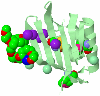 Image Biological Unit 2