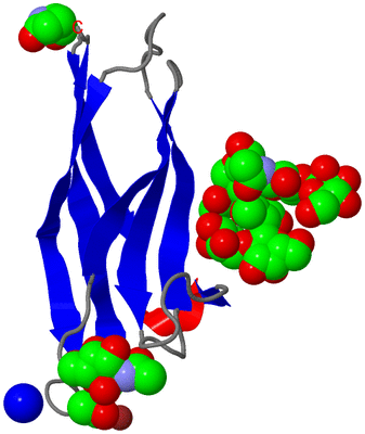 Image Asymmetric Unit