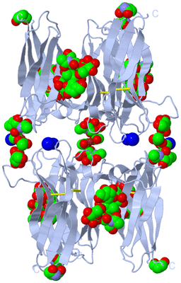 Image Biological Unit 1