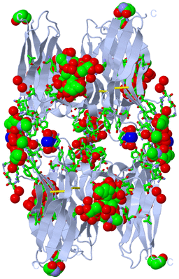 Image Biol. Unit 1 - sites