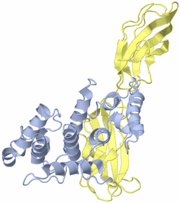 Image Biological Unit 1