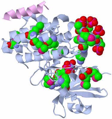 Image Biological Unit 1