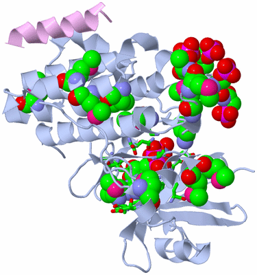 Image Biol. Unit 1 - sites