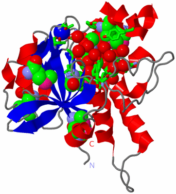 Image Asym./Biol. Unit - sites