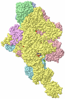 Image Asym./Biol. Unit - sites