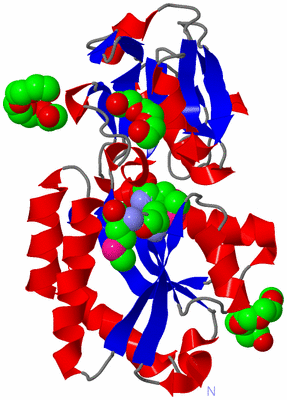 Image Asym./Biol. Unit