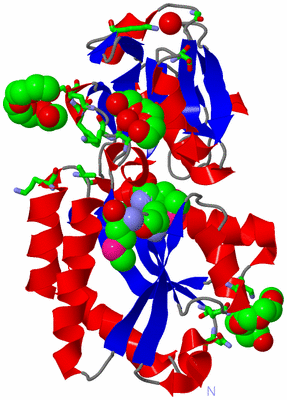 Image Asym./Biol. Unit - sites