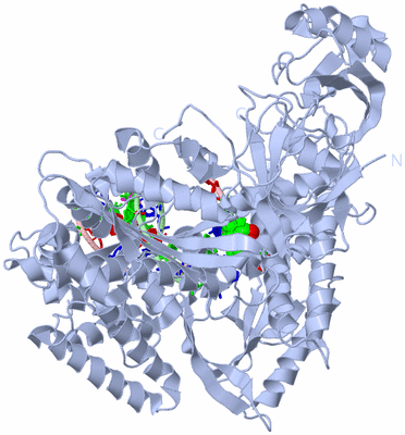 Image Biological Unit 1