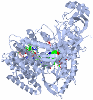 Image Biol. Unit 1 - sites