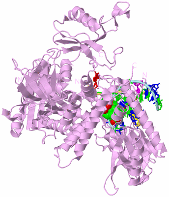 Image Biological Unit 2