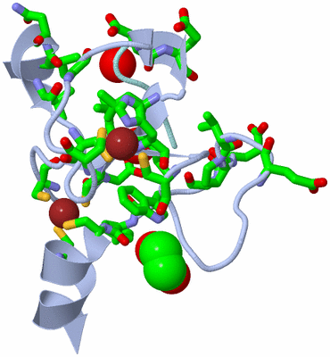 Image Biol. Unit 1 - sites