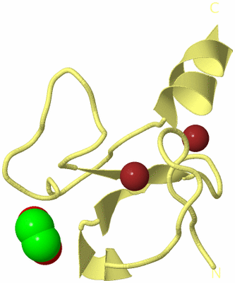 Image Biological Unit 4