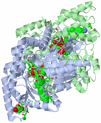 Image Asym./Biol. Unit - sites