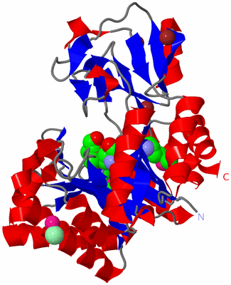 Image Asym./Biol. Unit