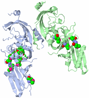 Image Asym./Biol. Unit - sites