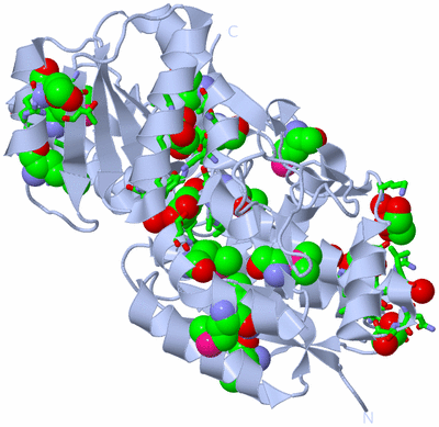 Image Biol. Unit 1 - sites