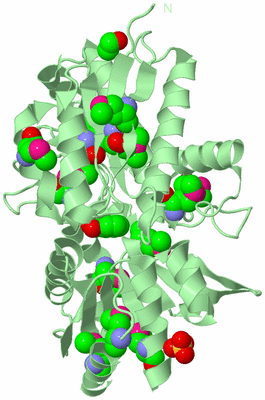 Image Biological Unit 2