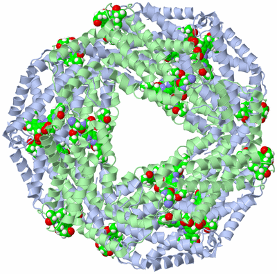 Image Biological Unit 2