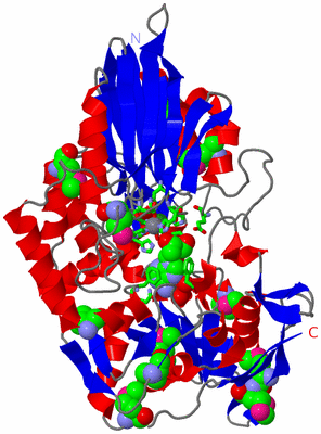 Image Asym./Biol. Unit - sites