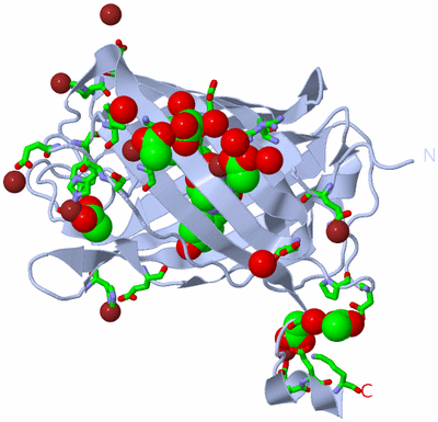 Image Biol. Unit 1 - sites