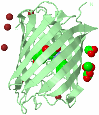 Image Biological Unit 2