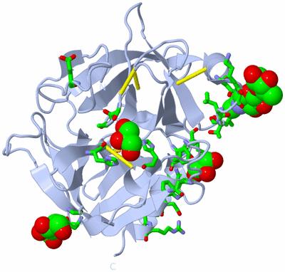 Image Biol. Unit 1 - sites