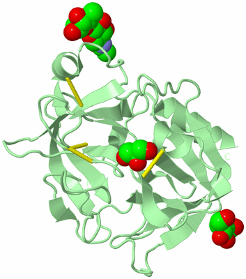 Image Biological Unit 2