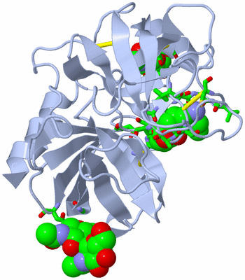 Image Biol. Unit 1 - sites