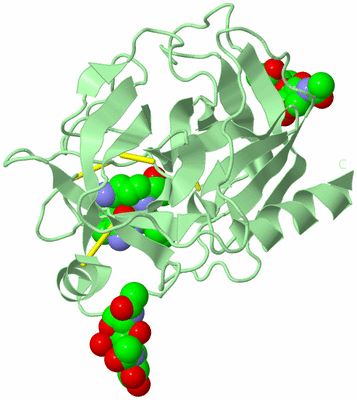 Image Biological Unit 2