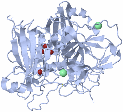 Image Biological Unit 1