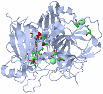 Image Biol. Unit 1 - sites