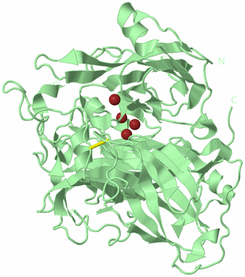 Image Biological Unit 2