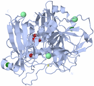 Image Biological Unit 1