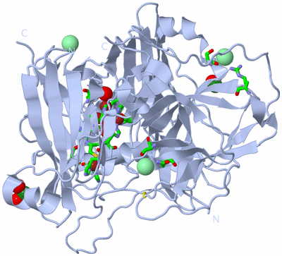 Image Biol. Unit 1 - sites