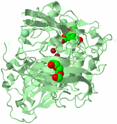 Image Biological Unit 2