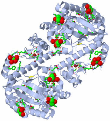 Image Biol. Unit 1 - sites