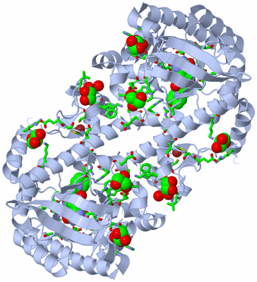 Image Biol. Unit 1 - sites