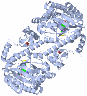 Image Biological Unit 1