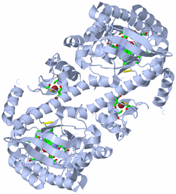 Image Biol. Unit 1 - sites