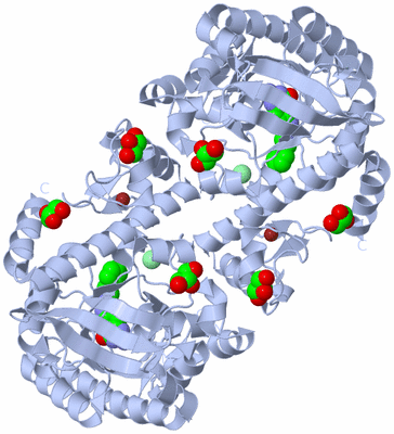 Image Biological Unit 1