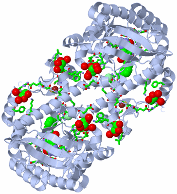 Image Biol. Unit 1 - sites