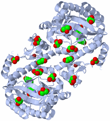 Image Biological Unit 1