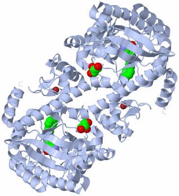 Image Biological Unit 1