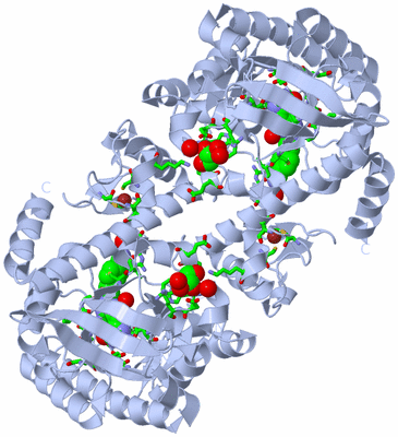 Image Biol. Unit 1 - sites