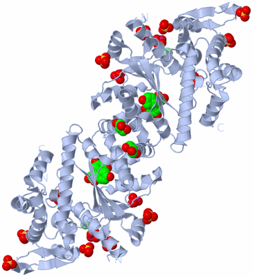 Image Biological Unit 1