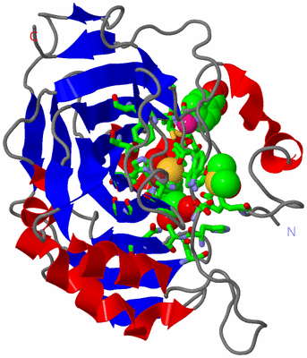 Image Asym./Biol. Unit - sites