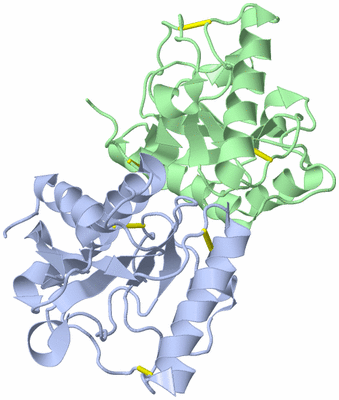 Image Biological Unit 1