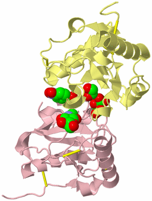 Image Biological Unit 2