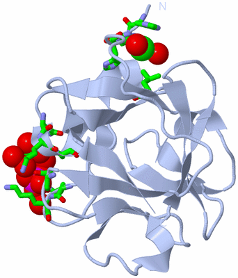 Image Biol. Unit 1 - sites