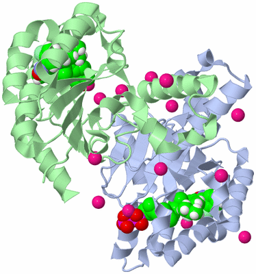 Image Asym./Biol. Unit